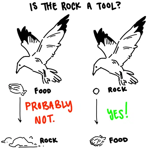food or tool