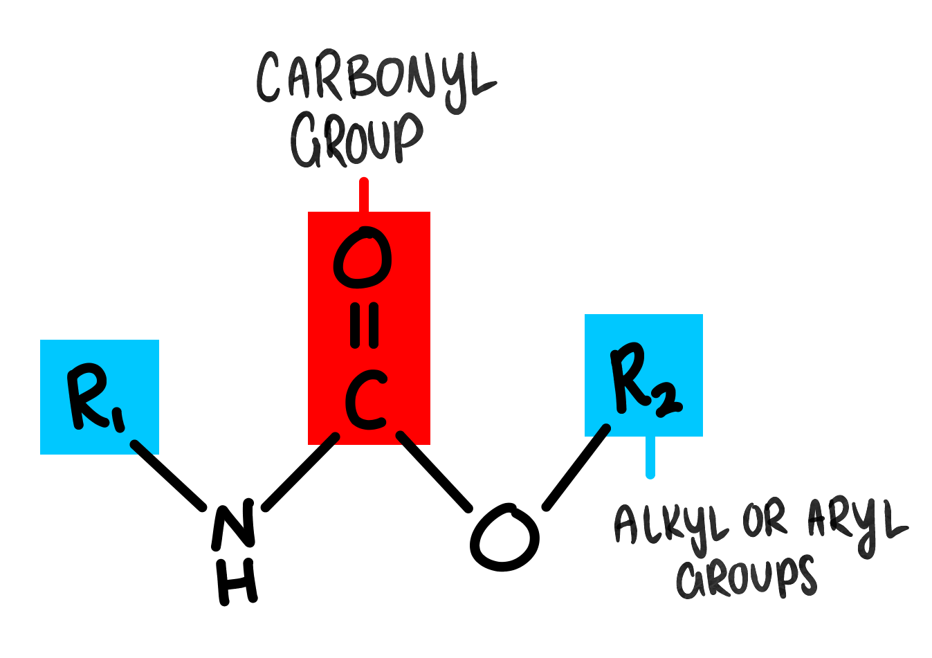 Carbonyl Group
