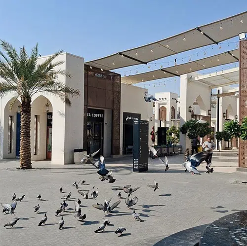 pigeons shopping center
